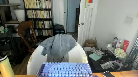 Snapshot of rose257044 chatting on September 20, 9:51 pm rose257044 online show from September 20, 9:51 pm