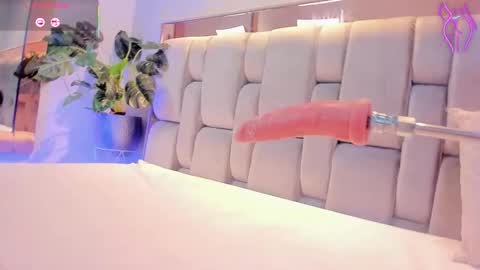 Rose online show from November 8, 5:21 am