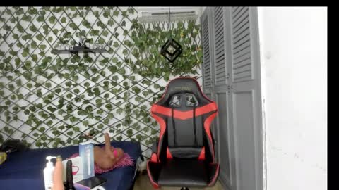 Rous online show from November 22, 1:20 pm