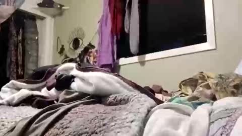 Rubylouxe online show from March 8, 4:38 am