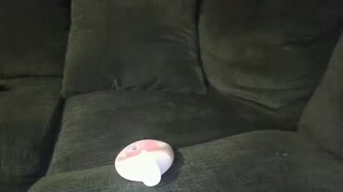 ruxin99 online show from November 24, 2:54 am