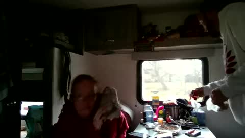 RyTracey2024 online show from December 2, 6:27 pm