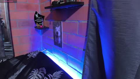 sainix_ online show from December 18, 2:21 am