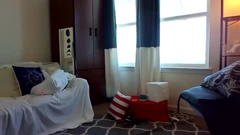 salis1981 online show from February 5, 8:35 pm