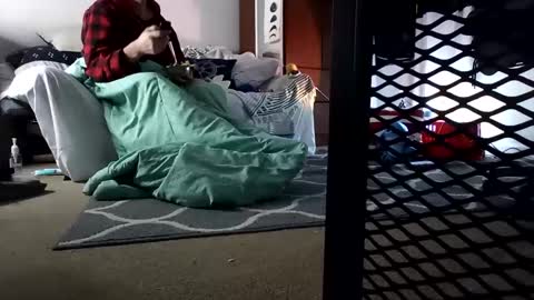 salis1981 online show from February 7, 3:34 am