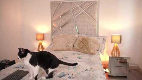 salomedyla online show from January 8, 6:25 pm