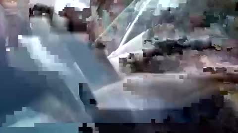 sam223382879 online show from December 25, 3:28 pm