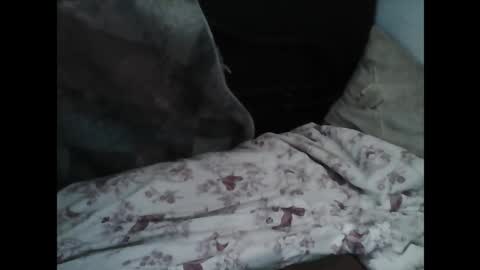 Samedisamedi1nouveau online show from March 7, 10:15 am