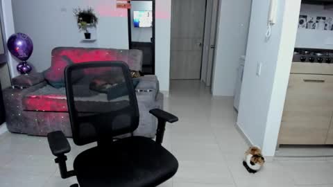 SARA online show from October 31, 12:33 am