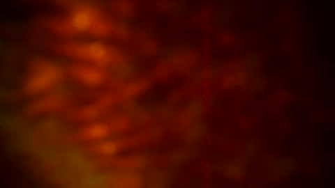 samueltal online show from September 22, 9:52 pm