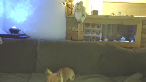 sanroom online show from November 18, 3:48 pm