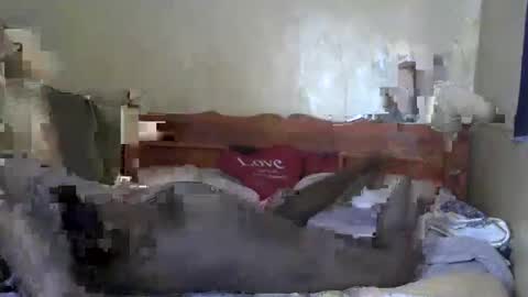 santabarbie online show from March 4, 6:15 am