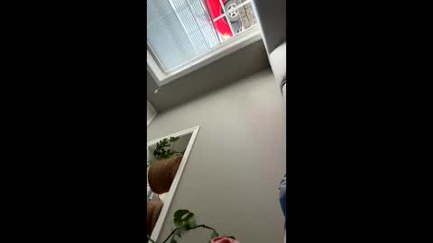 santi420norg online show from October 11, 11:48 am