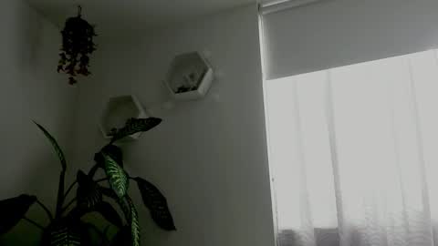 Saray  online show from February 9, 9:39 pm