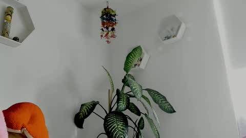 Saray  online show from February 2, 9:22 pm