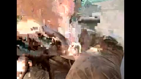 Cedar online show from March 7, 11:27 pm