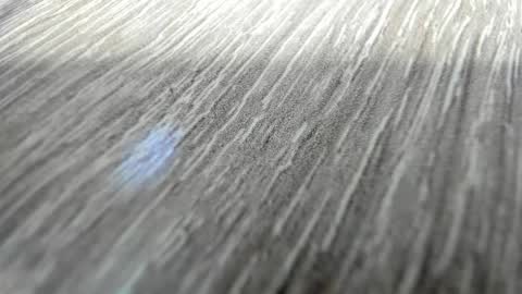 sayo_mao18 online show from March 17, 1:54 am