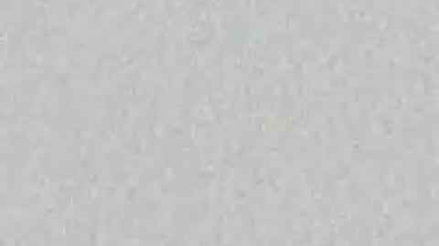 Venus online show from July 7, 1:26 pm