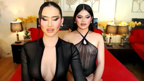 Scarlet online show from February 23, 8:49 am