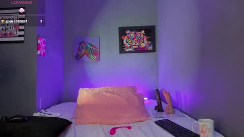 Carolina online show from September 18, 6:23 pm