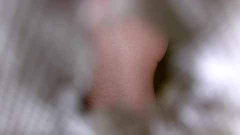 Scorpio Lover online show from October 25, 7:14 pm