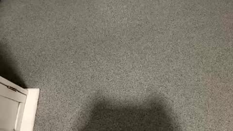 scottyc48 online show from December 15, 12:23 pm