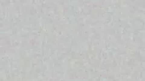 Seaman online show from May 2, 7:08 pm