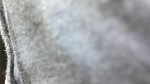 sebastianspalding450 online show from March 15, 10:07 am