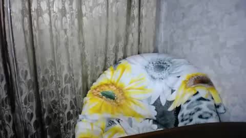 secretcandy222 online show from March 1, 2:44 pm