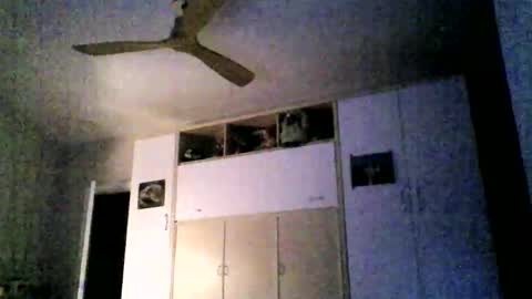 serrano49 online show from October 22, 7:04 pm