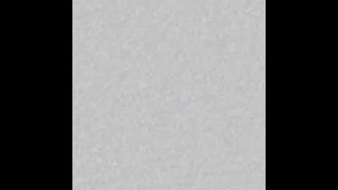 Sapik online show from March 18, 1:55 am