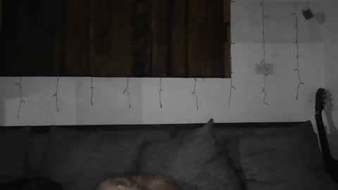 Trixy Rose online show from January 11, 5:41 am