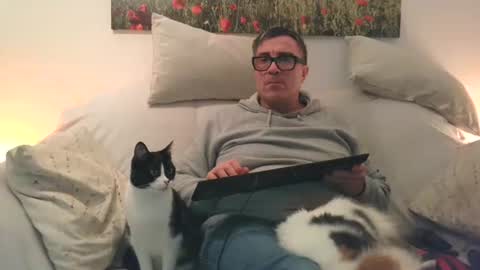 Sexurbation online show from January 31, 8:50 pm