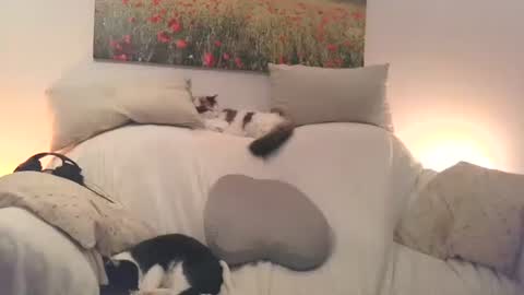 Sexurbation online show from April 27, 9:34 pm