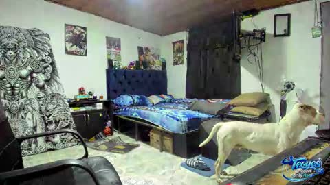 sexynative4u online show from March 18, 12:16 am