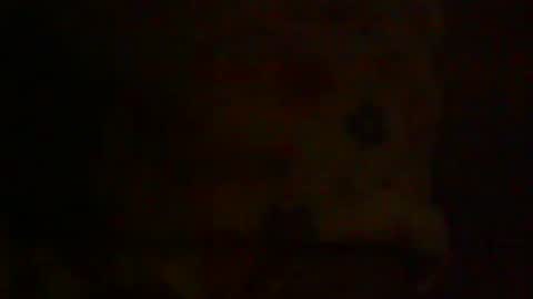 AnneSofia online show from January 13, 11:06 pm