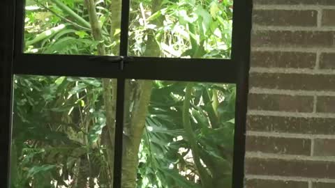 Snapshot of sharon__baker_ chatting on September 21, 5:17 pm sharon baker online show from September 21, 5:17 pm