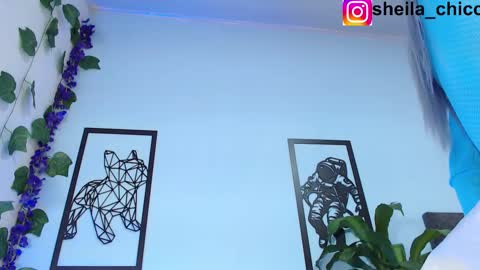 SHEILA  online show from February 25, 12:36 am