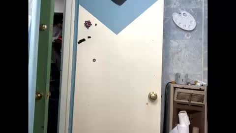 Shelby holes online show from October 13, 2:02 am