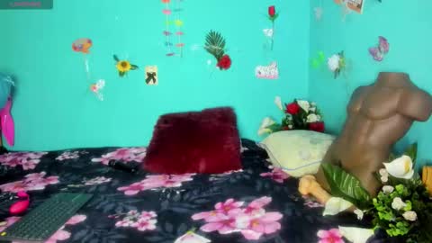 Shera Hade online show from March 8, 2:15 am