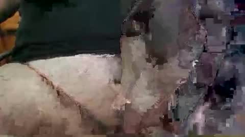 showsme online show from February 19, 8:02 am