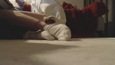 shywhitesocks online show from April 24, 8:22 pm