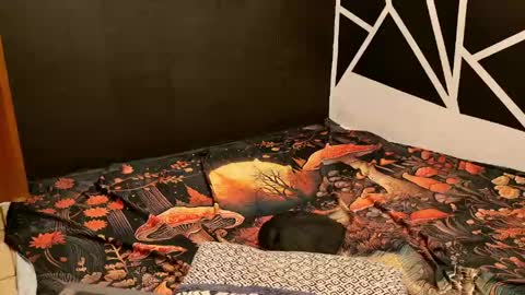 Silky Minx online show from April 29, 2:38 am
