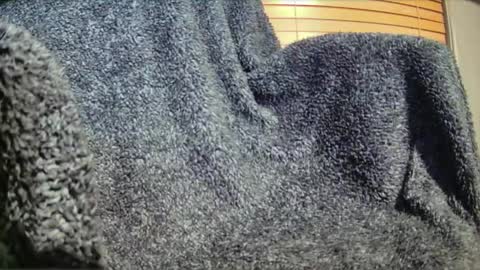 Simul online show from February 27, 6:13 am