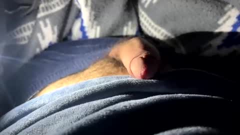 Sincara online show from March 2, 9:21 am