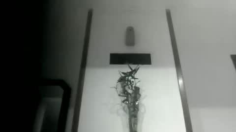 sioque376201 online show from March 11, 1:08 am