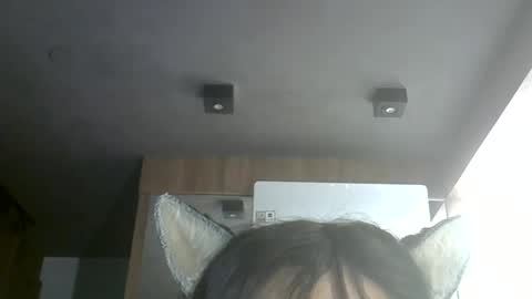 skinnykittencam online show from June 11, 12:54 am