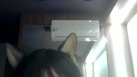 skinnykittencam online show from June 29, 3:14 am