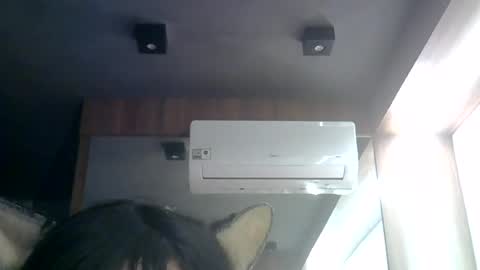 skinnykittencam online show from July 3, 8:30 am