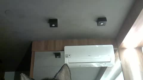 skinnykittencam online show from November 2, 2:11 am